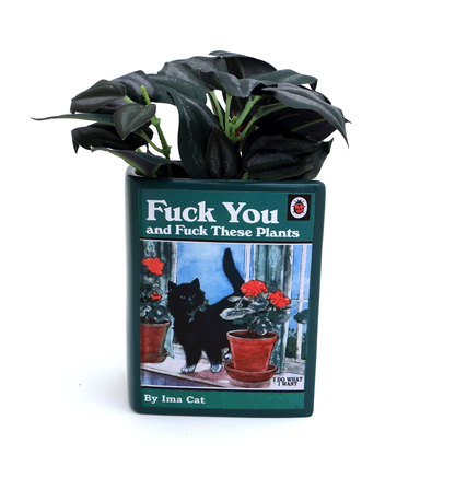 Book vase, cat, F you and these plants, book shaped pencil holder or planter, mature language